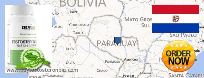 Gdzie kupić Testosterone w Internecie Paraguay